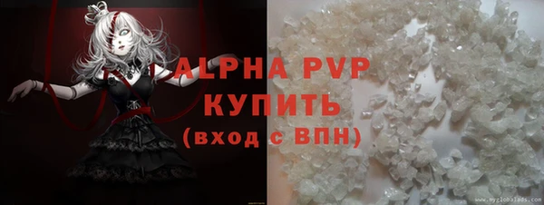 PSILOCYBIN Гусев