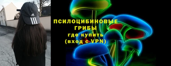 ГАЛЛЮЦИНОГЕННЫЕ ГРИБЫ Гусиноозёрск