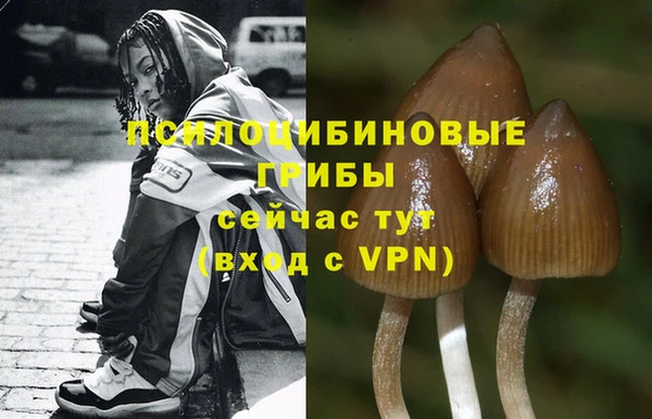 PSILOCYBIN Гусев