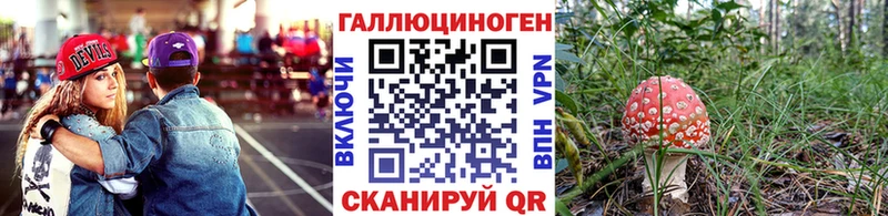 Купить закладки  Славск  Галлюциногенные грибы Magic Shrooms 